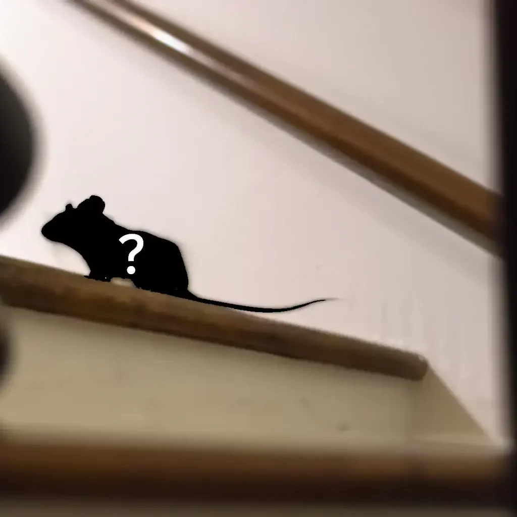 Can Mice Climb Stairs and Walls? How to Keep Them Out!